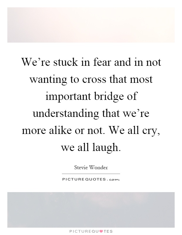 We're stuck in fear and in not wanting to cross that most important bridge of understanding that we're more alike or not. We all cry, we all laugh Picture Quote #1