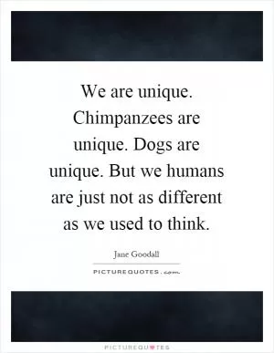 We are unique. Chimpanzees are unique. Dogs are unique. But we humans are just not as different as we used to think Picture Quote #1