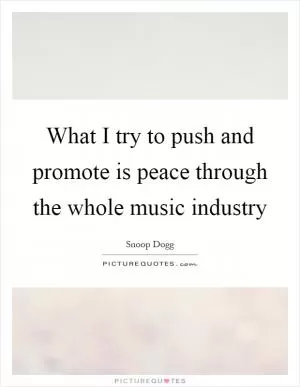 What I try to push and promote is peace through the whole music industry Picture Quote #1