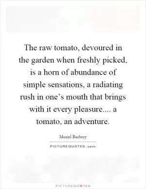The raw tomato, devoured in the garden when freshly picked, is a horn of abundance of simple sensations, a radiating rush in one’s mouth that brings with it every pleasure.... a tomato, an adventure Picture Quote #1