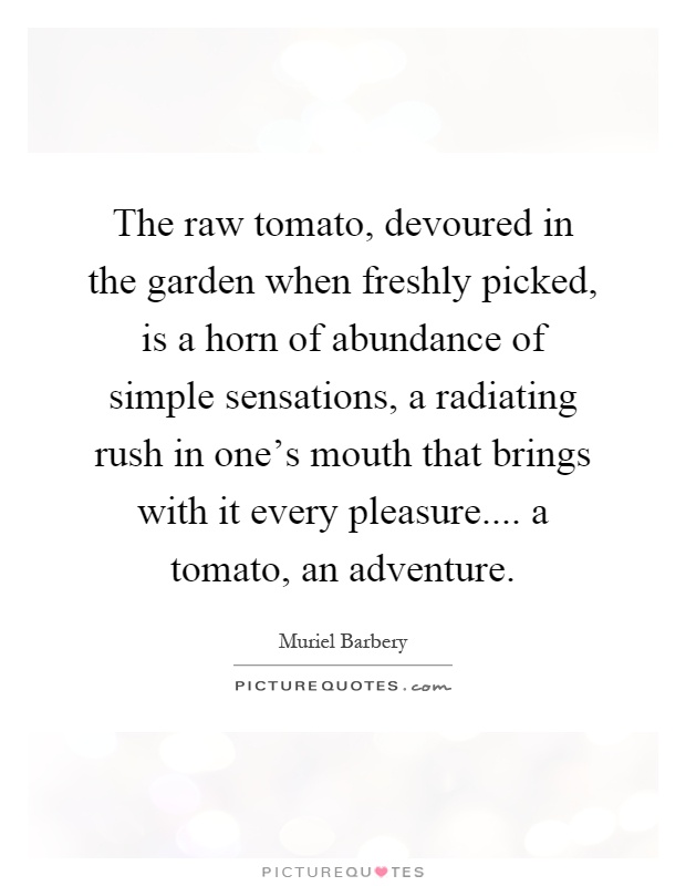 The raw tomato, devoured in the garden when freshly picked, is a horn of abundance of simple sensations, a radiating rush in one's mouth that brings with it every pleasure.... a tomato, an adventure Picture Quote #1