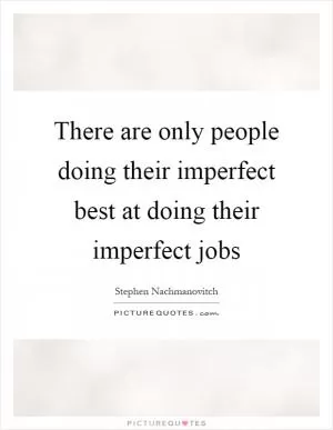 There are only people doing their imperfect best at doing their imperfect jobs Picture Quote #1
