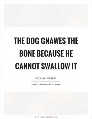 The dog gnawes the bone because he cannot swallow it Picture Quote #1