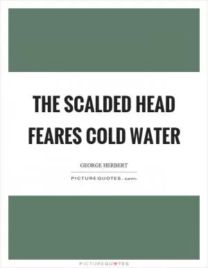 The scalded head feares cold water Picture Quote #1