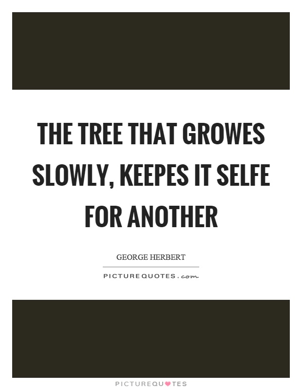 The tree that growes slowly, keepes it selfe for another Picture Quote #1
