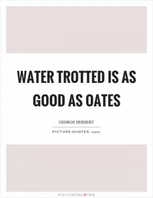 Water trotted is as good as oates Picture Quote #1