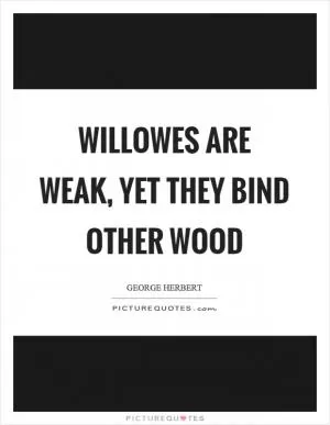 Willowes are weak, yet they bind other wood Picture Quote #1