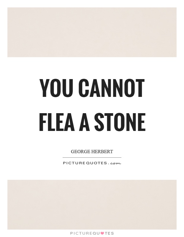 You cannot flea a stone Picture Quote #1