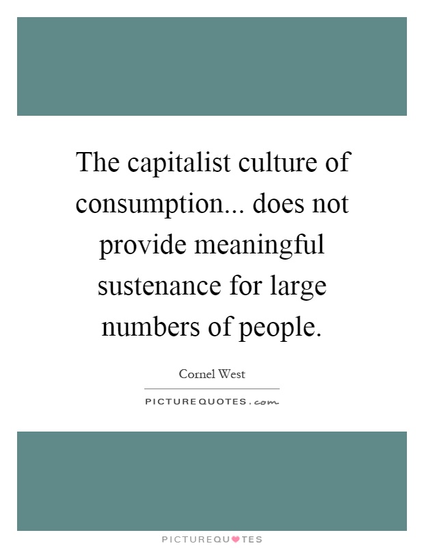 The capitalist culture of consumption... does not provide meaningful sustenance for large numbers of people Picture Quote #1