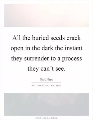 All the buried seeds crack open in the dark the instant they surrender to a process they can’t see Picture Quote #1