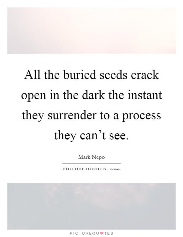 All the buried seeds crack open in the dark the instant they surrender to a process they can't see Picture Quote #1