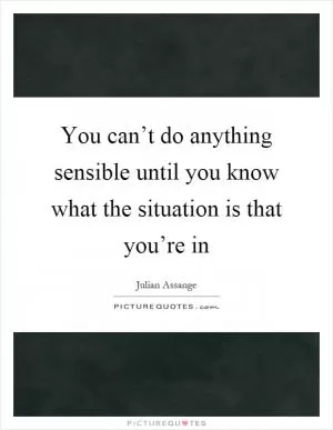 You can’t do anything sensible until you know what the situation is that you’re in Picture Quote #1