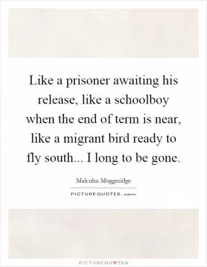 Like a prisoner awaiting his release, like a schoolboy when the end of term is near, like a migrant bird ready to fly south... I long to be gone Picture Quote #1