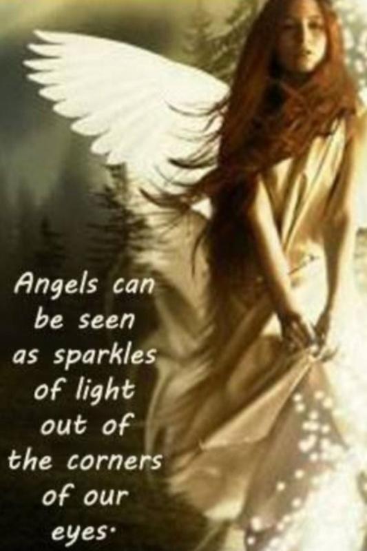 Angels can be seen as sparkles of light out of the corners of our eyes Picture Quote #1