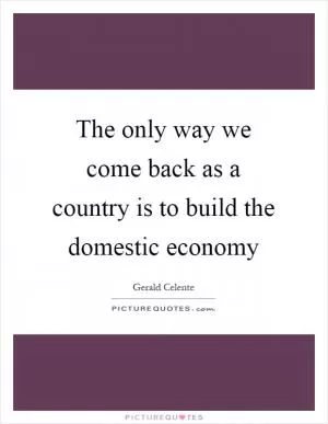 The only way we come back as a country is to build the domestic economy Picture Quote #1