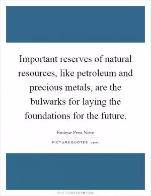 Important reserves of natural resources, like petroleum and precious metals, are the bulwarks for laying the foundations for the future Picture Quote #1