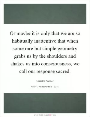 Or maybe it is only that we are so habitually inattentive that when some rare but simple geometry grabs us by the shoulders and shakes us into consciousness, we call our response sacred Picture Quote #1
