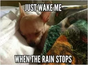 Just wake me when the rain stops Picture Quote #1