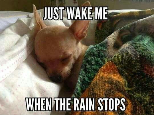 Just wake me when the rain stops Picture Quote #1