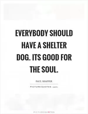 Everybody should have a shelter dog. Its good for the soul Picture Quote #1