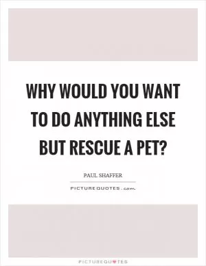 Why would you want to do anything else but rescue a pet? Picture Quote #1
