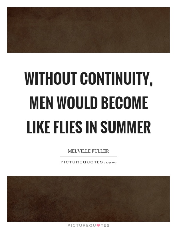 Without continuity, men would become like flies in summer Picture Quote #1