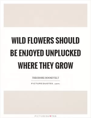 Wild flowers should be enjoyed unplucked where they grow Picture Quote #1
