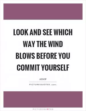 Look and see which way the wind blows before you commit yourself Picture Quote #1