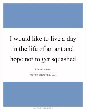 I would like to live a day in the life of an ant and hope not to get squashed Picture Quote #1