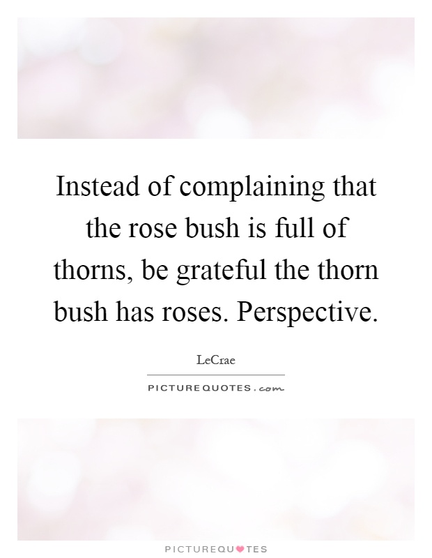 Instead of complaining that the rose bush is full of thorns, be grateful the thorn bush has roses. Perspective Picture Quote #1