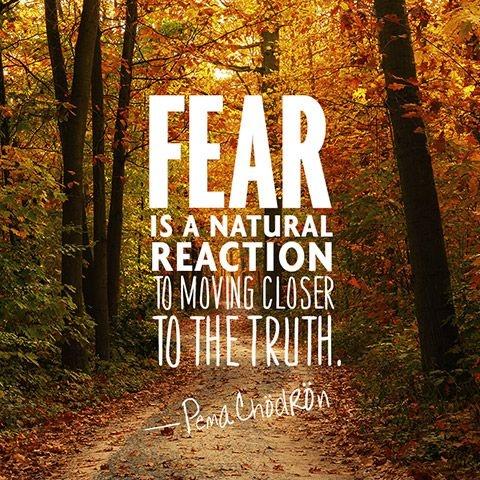 Fear is a natural reaction to moving closer to the truth Picture Quote #1