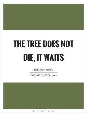 The tree does not die, it waits Picture Quote #1