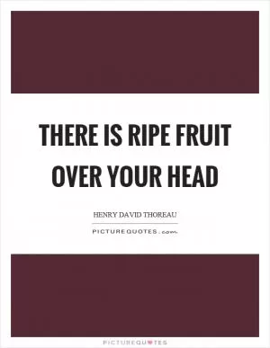 There is ripe fruit over your head Picture Quote #1