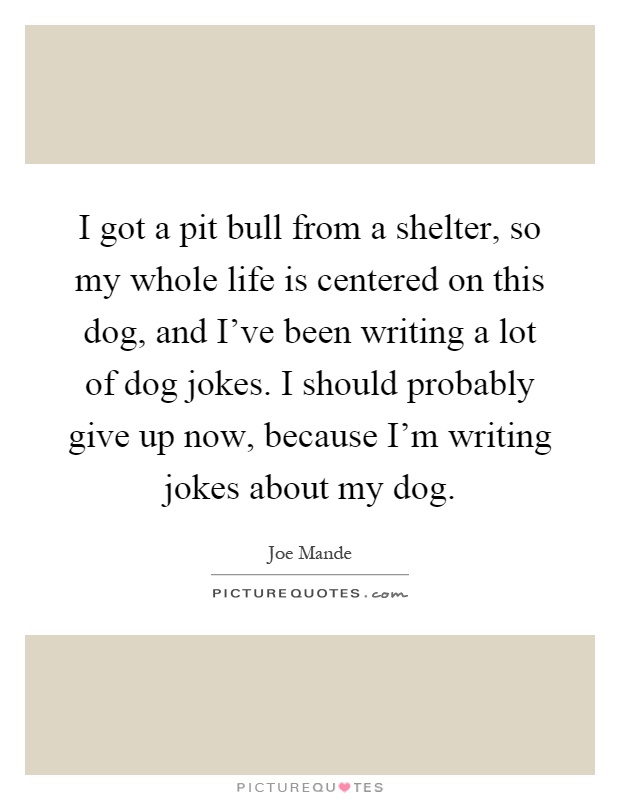 I got a pit bull from a shelter, so my whole life is centered on this dog, and I've been writing a lot of dog jokes. I should probably give up now, because I'm writing jokes about my dog Picture Quote #1