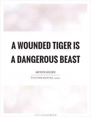 A wounded tiger is a dangerous beast Picture Quote #1