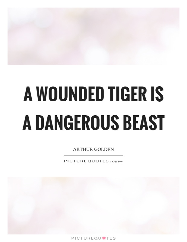 A wounded tiger is a dangerous beast Picture Quote #1