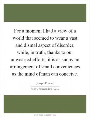 For a moment I had a view of a world that seemed to wear a vast and dismal aspect of disorder, while, in truth, thanks to our unwearied efforts, it is as sunny an arrangement of small conveniences as the mind of man can conceive Picture Quote #1
