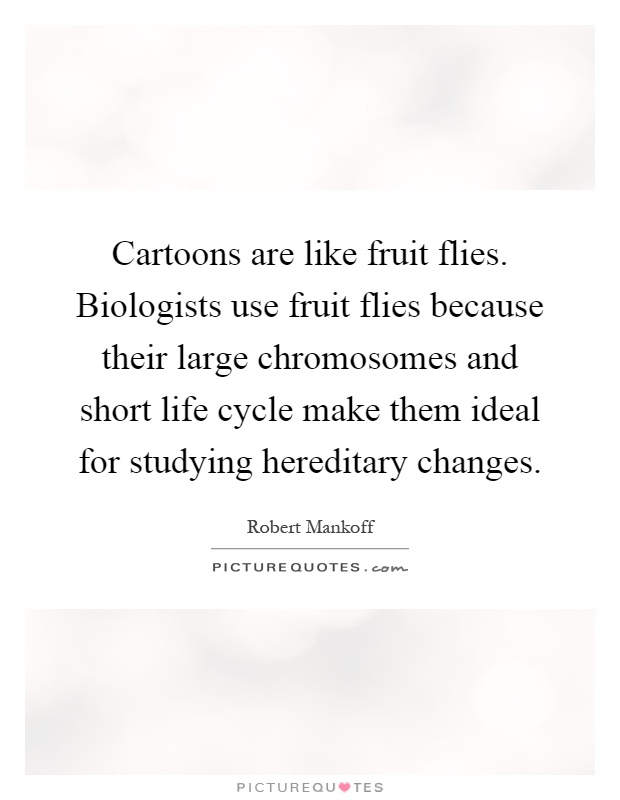 Cartoons are like fruit flies. Biologists use fruit flies because their large chromosomes and short life cycle make them ideal for studying hereditary changes Picture Quote #1