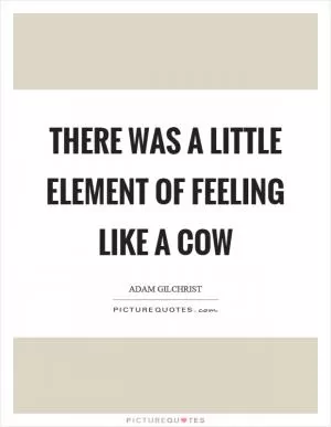 There was a little element of feeling like a cow Picture Quote #1