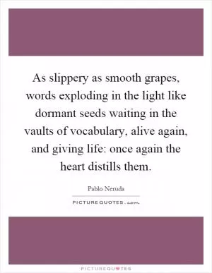 As slippery as smooth grapes, words exploding in the light like dormant seeds waiting in the vaults of vocabulary, alive again, and giving life: once again the heart distills them Picture Quote #1