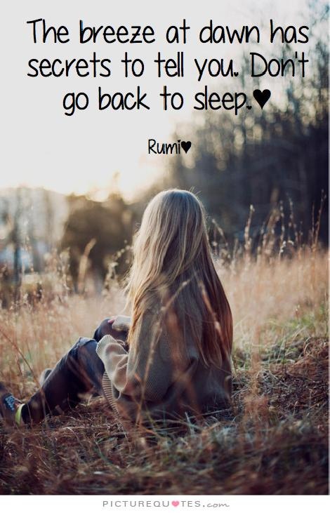 The breeze at dawn has secrets to tell you. Don't go back to sleep Picture Quote #1