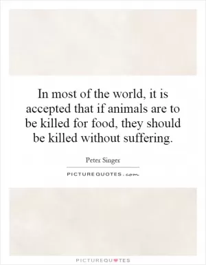 In most of the world, it is accepted that if animals are to be killed for food, they should be killed without suffering Picture Quote #1