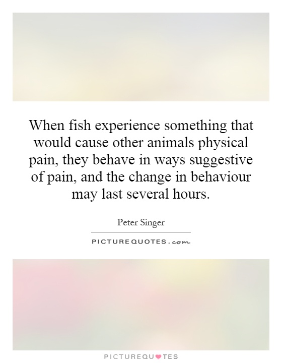 When fish experience something that would cause other animals physical pain, they behave in ways suggestive of pain, and the change in behaviour may last several hours Picture Quote #1