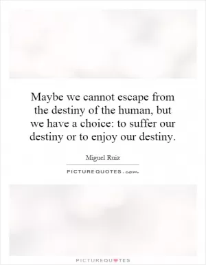 Maybe we cannot escape from the destiny of the human, but we have a choice: to suffer our destiny or to enjoy our destiny Picture Quote #1