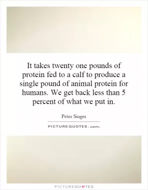 It takes twenty one pounds of protein fed to a calf to produce a single pound of animal protein for humans. We get back less than 5 percent of what we put in Picture Quote #1