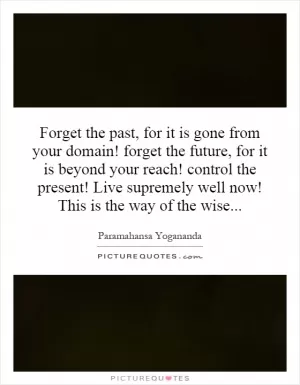 Forget the past, for it is gone from your domain! forget the future, for it is beyond your reach! control the present! Live supremely well now! This is the way of the wise Picture Quote #1