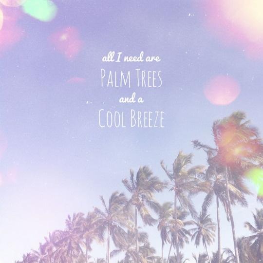 All I need are palm trees and a cool breeze Picture Quote #1