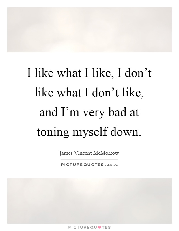 I like what I like, I don't like what I don't like, and I'm very bad at toning myself down Picture Quote #1