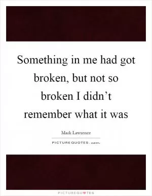 Something in me had got broken, but not so broken I didn’t remember what it was Picture Quote #1