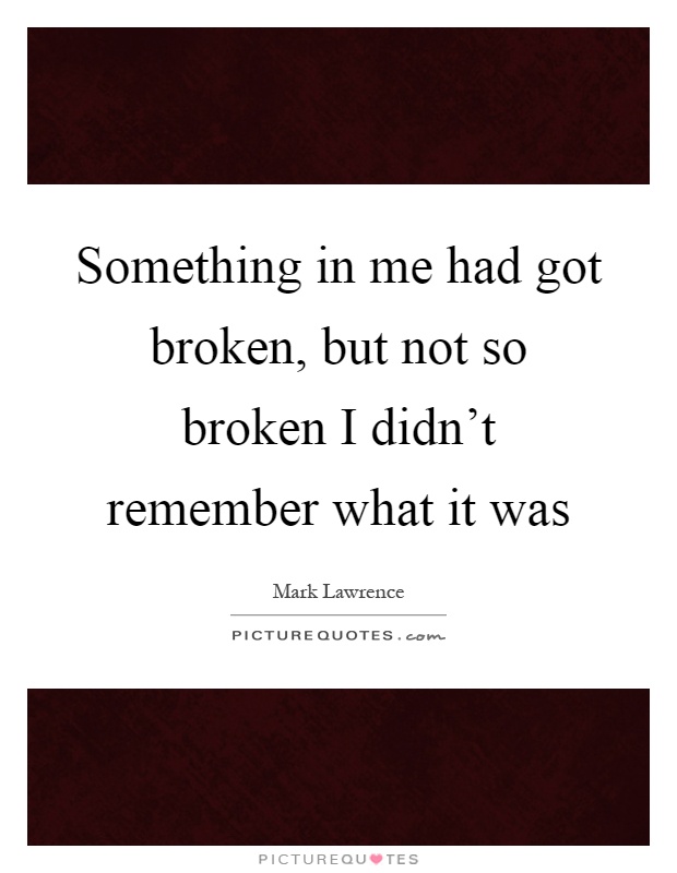 Something in me had got broken, but not so broken I didn't remember what it was Picture Quote #1